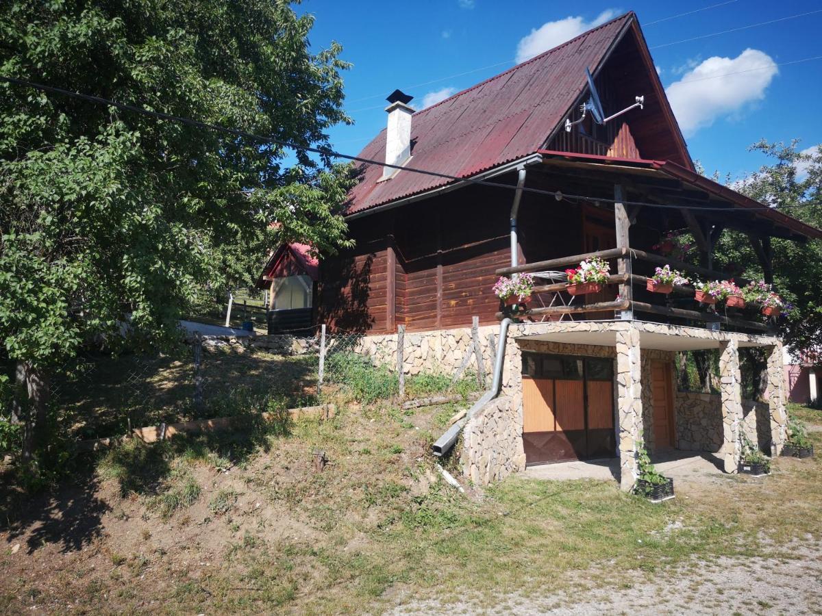 Vikendica Kod Brice Leilighet Jevtici Eksteriør bilde